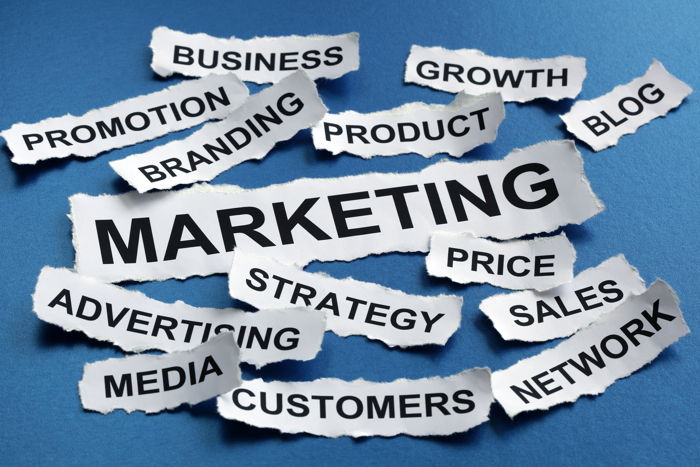 Business to Business Marketing Basics