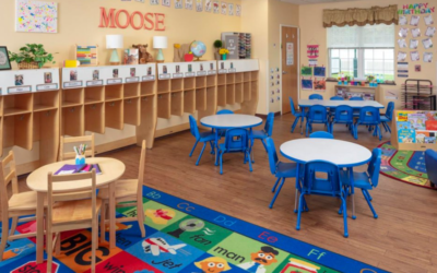 Specialities In The Education Of Private Kindergarten