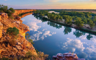 4 Murray River Attractions For A Memorable Trip To Mildura