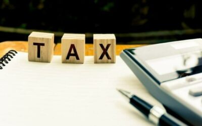 The Pros and Cons of Hiring Individuals Tax Professionals
