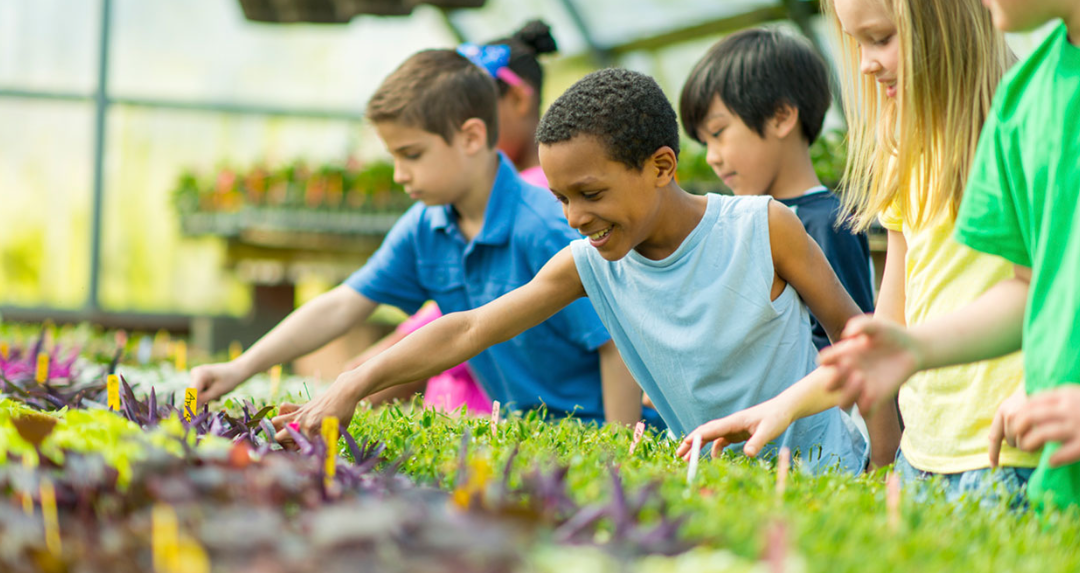 The Benefits of Enrolling Your Child in a Child Community Center in Papatoetoe