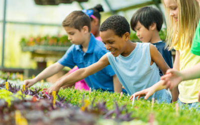 The Benefits of Enrolling Your Child in a Child Community Center in Papatoetoe