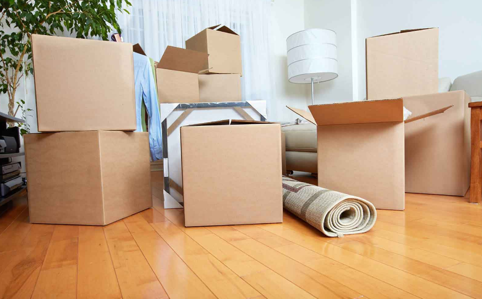 Packing, Loading, Unloading: The Comprehensive Services of Furniture Movers in Waikato
