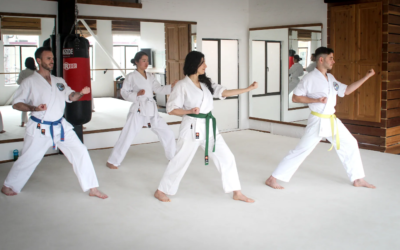 5 Reasons Why Adult Martial Arts Classes Must Be Taken
