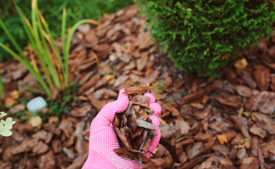 How Mulch Helps Gold Coast Gardens Prep For Winter Months