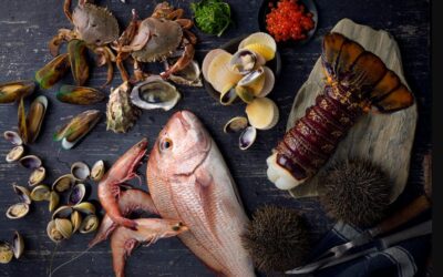 5 Best Practices to Build Trust with Your Seafood Supplier in NZ