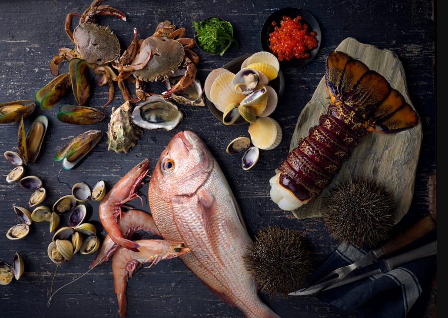 5 Best Practices to Build Trust with Your Seafood Supplier in NZ