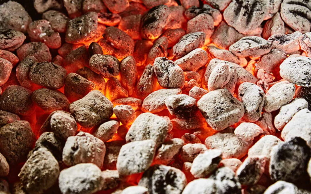 Unveiling the Finest: Exploring the Best Charcoal in Australia