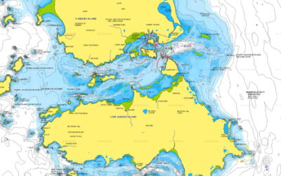 From Landlubber to Captain: How Nautical Charts Online Can Transform Your Maritime Adventures