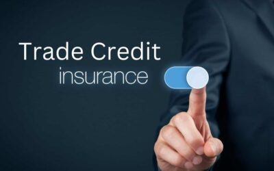 Maximizing Business Opportunities through Trade Credit Insurance