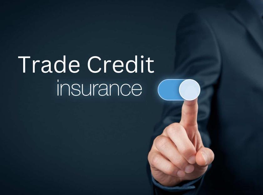 Maximizing Business Opportunities through Trade Credit Insurance