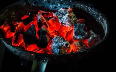 Best Charcoal: Types and Benefits for Your BBQ