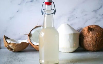 Explore the Nutritional Profile of Coconut Water Kefir Today