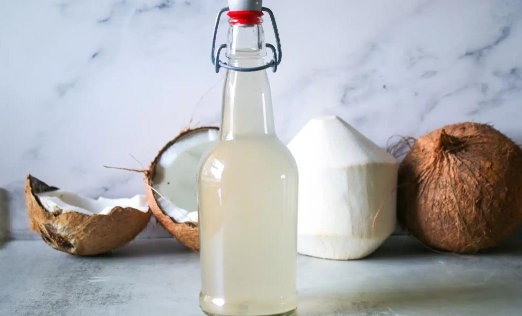 Explore the Nutritional Profile of Coconut Water Kefir Today