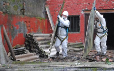 What Does an Asbestos Awareness Course Entail?