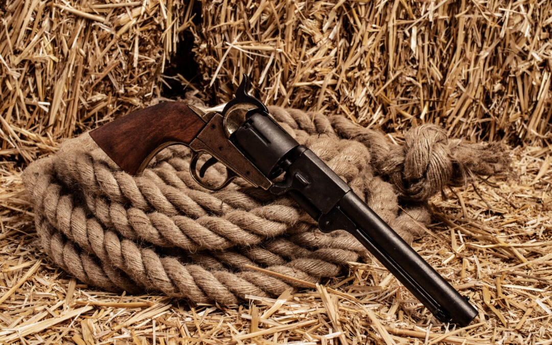 How to Safely Store and Inventory an Inherited Gun Collection